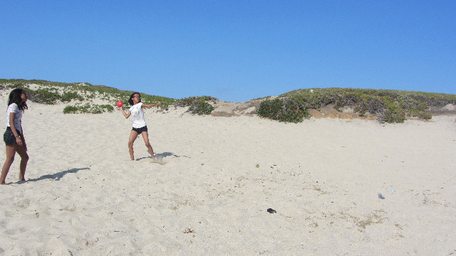 Anna's Friends, SF, Beach JUNE 2013 578