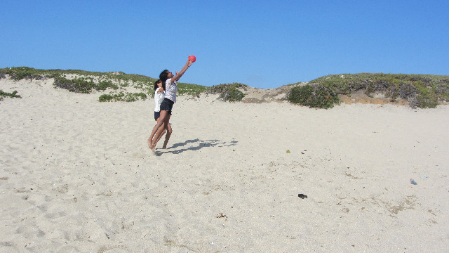 Anna's Friends, SF, Beach JUNE 2013 579