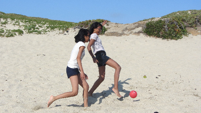 Anna's Friends, SF, Beach JUNE 2013 580