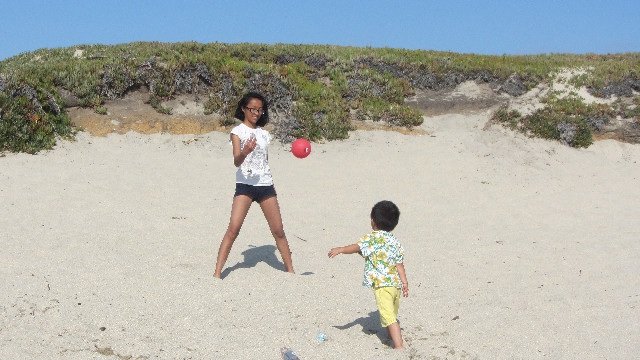 Anna's Friends, SF, Beach JUNE 2013 589