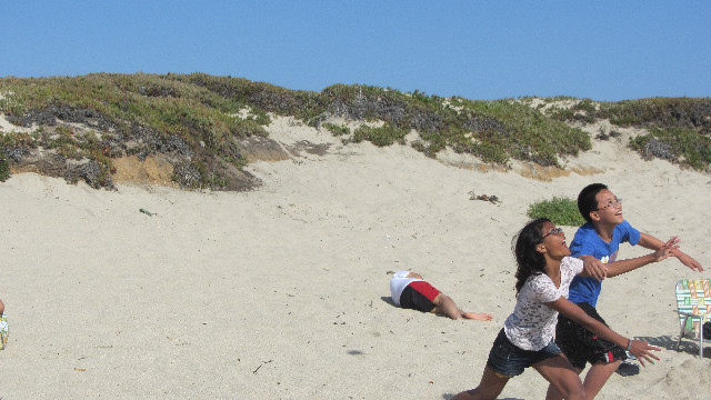 Anna's Friends, SF, Beach JUNE 2013 591