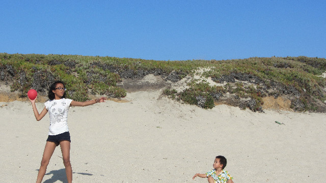 Anna's Friends, SF, Beach JUNE 2013 592