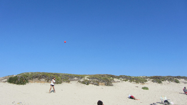 Anna's Friends, SF, Beach JUNE 2013 594