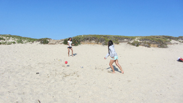 Anna's Friends, SF, Beach JUNE 2013 596