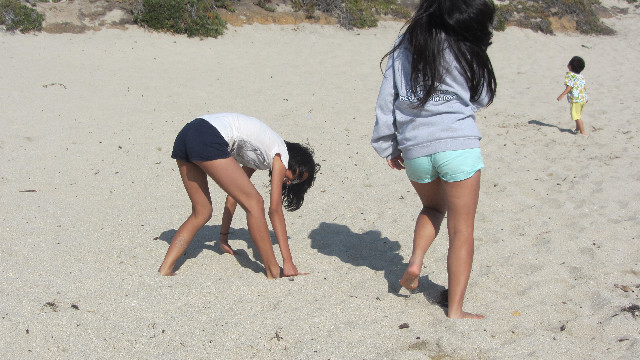 Anna's Friends, SF, Beach JUNE 2013 600