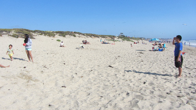 Anna's Friends, SF, Beach JUNE 2013 601