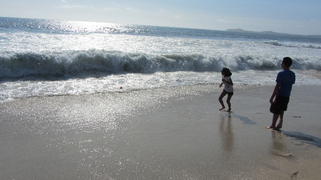 Anna's Friends, SF, Beach JUNE 2013 606