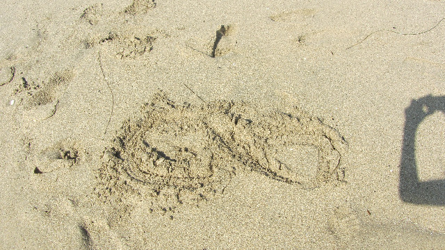 Anna's Friends, SF, Beach JUNE 2013 608