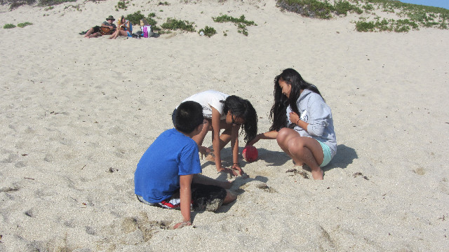 Anna's Friends, SF, Beach JUNE 2013 609