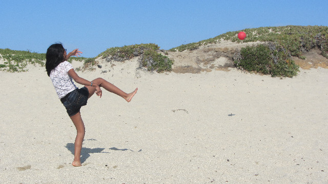 Anna's Friends, SF, Beach JUNE 2013 618