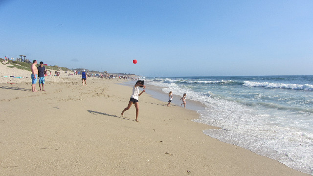 Anna's Friends, SF, Beach JUNE 2013 633