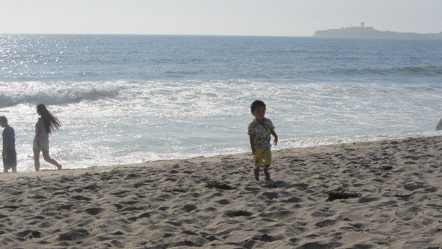 Anna's Friends, SF, Beach JUNE 2013 636