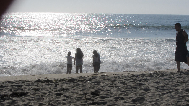 Anna's Friends, SF, Beach JUNE 2013 637