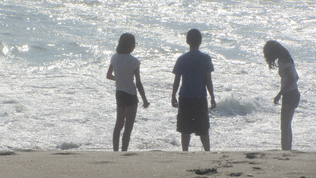 Anna's Friends, SF, Beach JUNE 2013 642