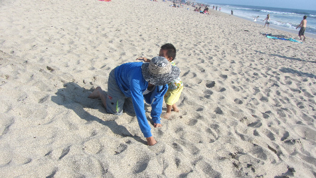 Anna's Friends, SF, Beach JUNE 2013 647