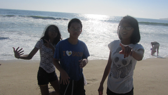 Anna's Friends, SF, Beach JUNE 2013 659