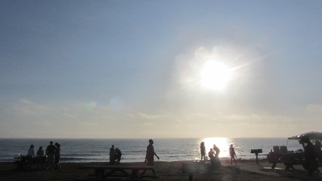 Anna's Friends, SF, Beach JUNE 2013 667