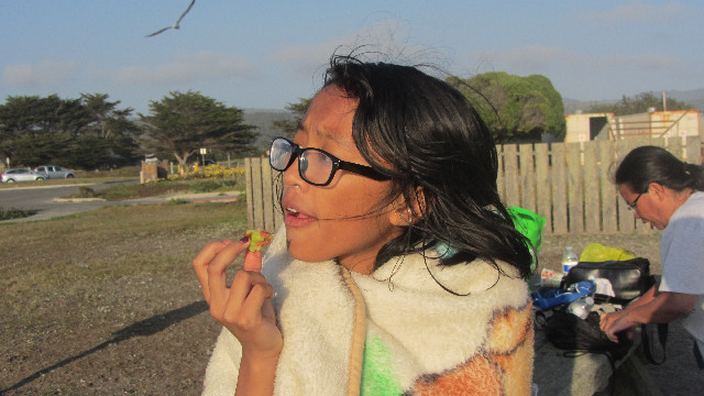 Anna's Friends, SF, Beach JUNE 2013 670