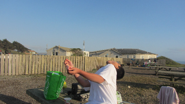 Anna's Friends, SF, Beach JUNE 2013 679