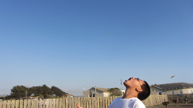 Anna's Friends, SF, Beach JUNE 2013 680