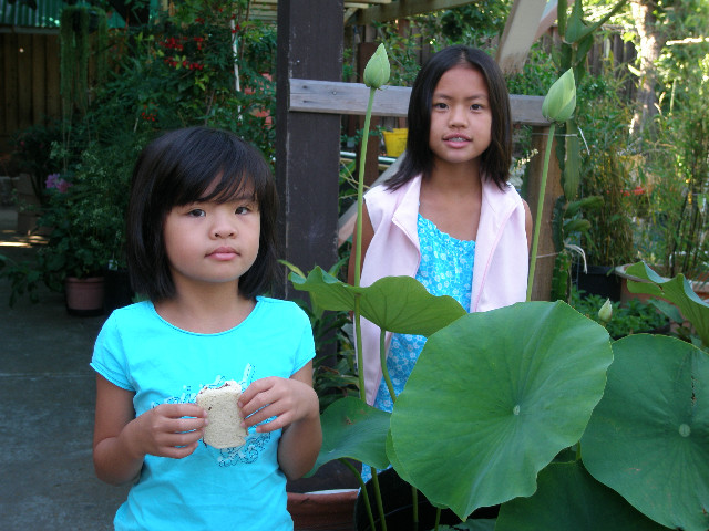 Mom's pictures 2011 095