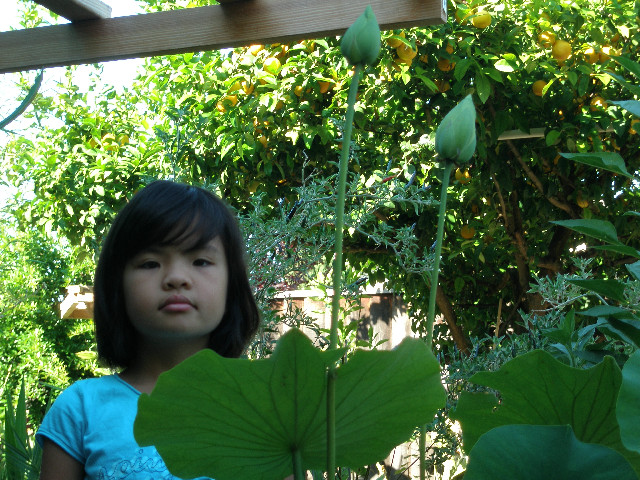 Mom's pictures 2011 097