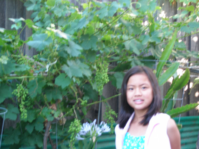 Mom's pictures 2011 098