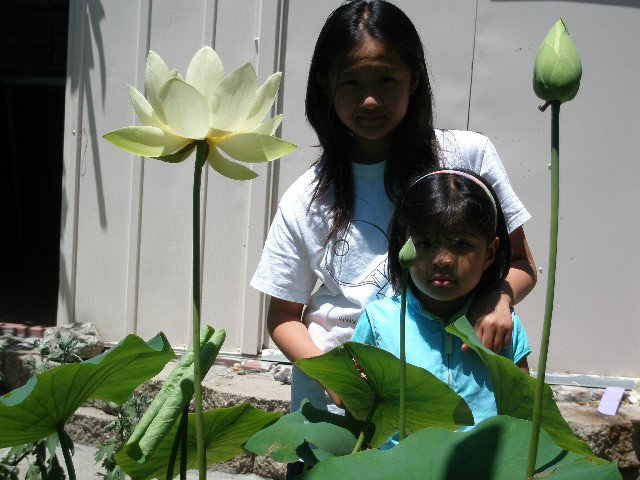 Mom's pictures 2011 106