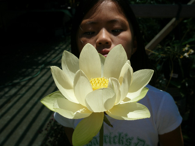 Mom's pictures 2011 109