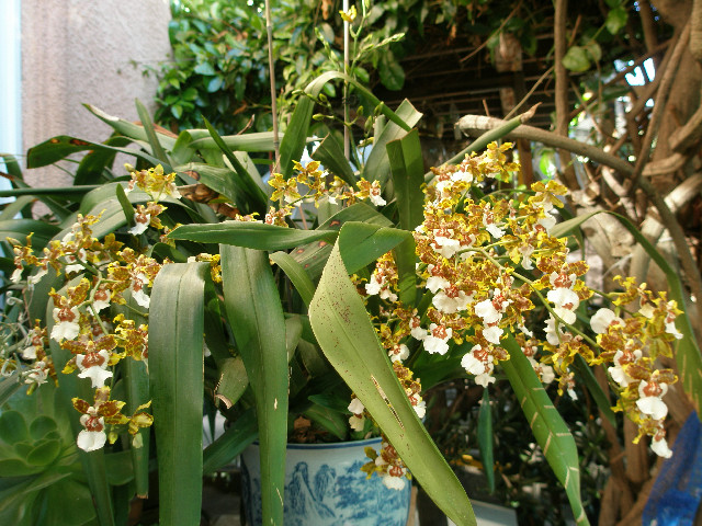 Mom's pictures 2011 168