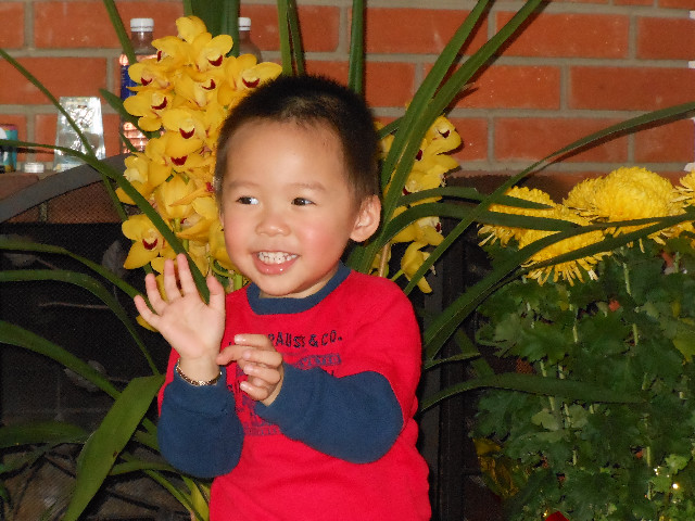 Ong ngoai pictures 039