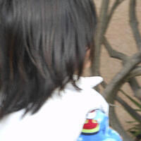 Ong ngoai pictures 078