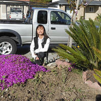 Ong ngoai pictures 140