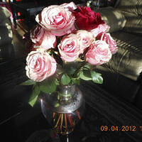 Ong ngoai pictures 295