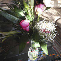 Ong ngoai pictures 296