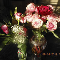 Ong ngoai pictures 297