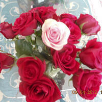 Ong ngoai pictures 299