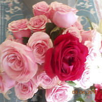 Ong ngoai pictures 300