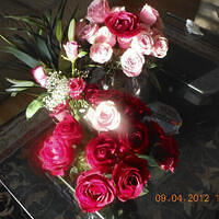 Ong ngoai pictures 301