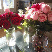 Ong ngoai pictures 302