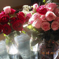 Ong ngoai pictures 303