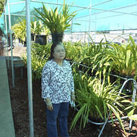 Ong ngoai pictures 489