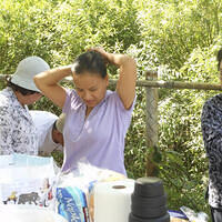 Ong ngoai pictures 531-180821768