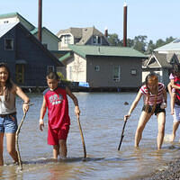 Ong ngoai pictures 543-640313588