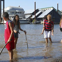 Ong ngoai pictures 545-1371052305