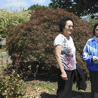 Ong ngoai pictures 559-435340951