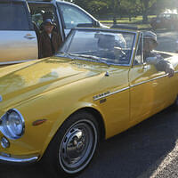 Ong ngoai pictures 596-52621960