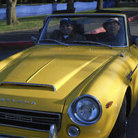 Ong ngoai pictures 597-2087327324