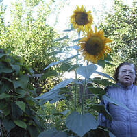 Ong ngoai pictures 724