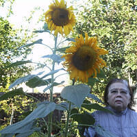 Ong ngoai pictures 725